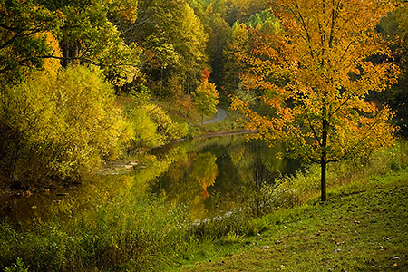 Fall on the Monticello Trail Pond, Albemarle County, VA